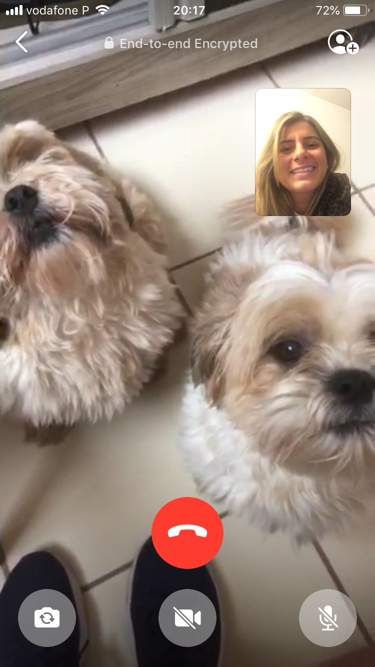 Duda´s PetSitter & PetWalking - Oeiras - Dog Walking