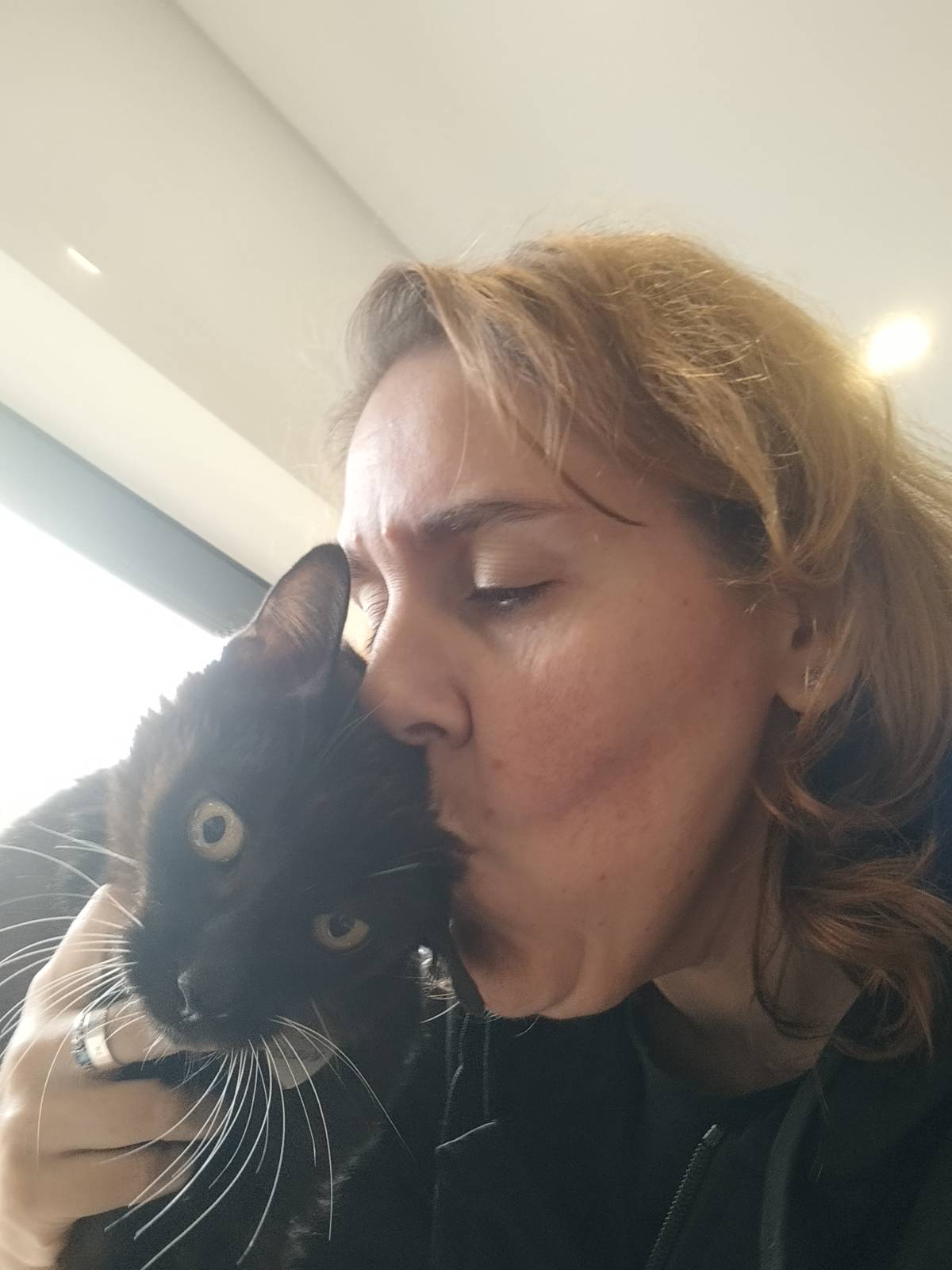Pawlapetcare - Vila Nova de Famalicão - Hotel para Gatos