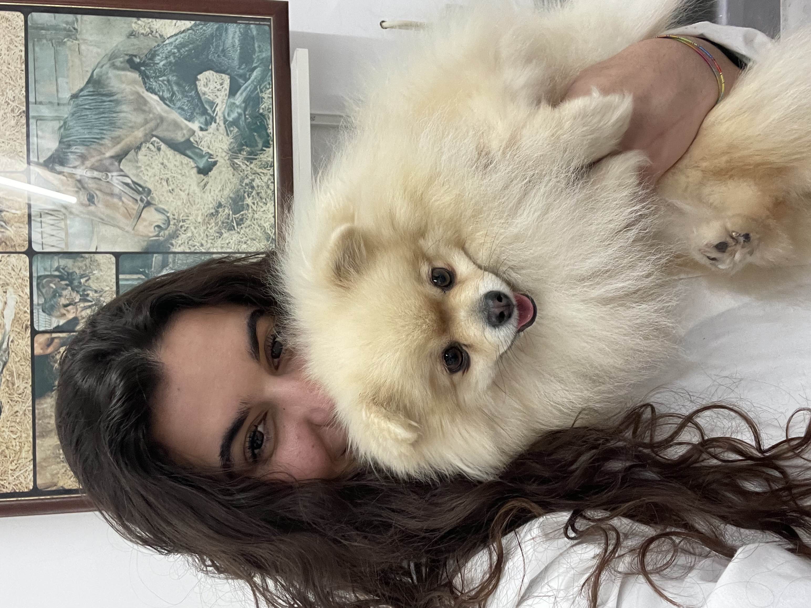 Carolina Santos - Sintra - Dog Walking