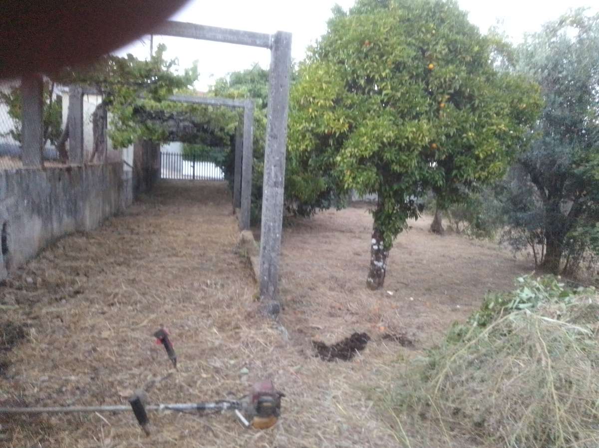 H&Filipes limpeza e desflorestação - Carregal do Sal - Limpeza de Terrenos