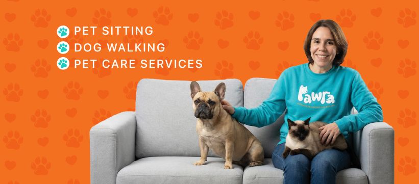 Pawlapetcare - Vila Nova de Famalicão - Dog Walking