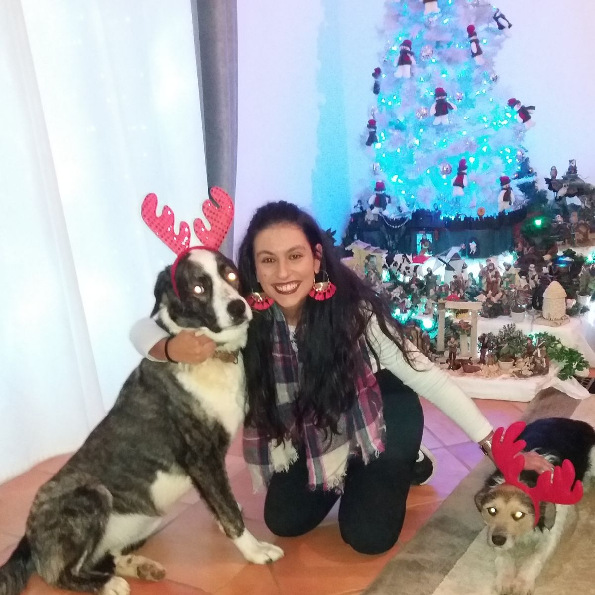 Anabela Oliveira - Vila Franca de Xira - Paseador de perros