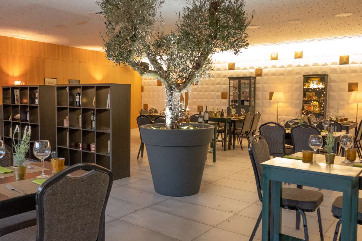 D'Olive - Mesa mediterrânea - Santa Maria da Feira - Catering for Events (Full Service)