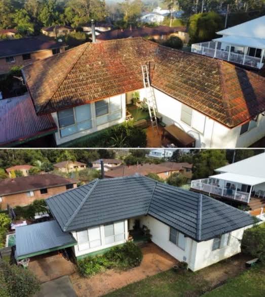Lisbon Roofing Services - Cascais - Grundstücksreinigung