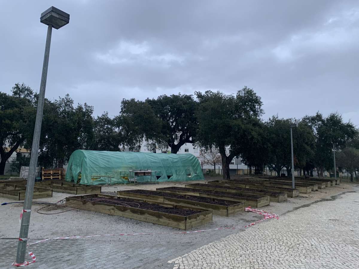 EcoCenter - Lisboa - Remoção de Tronco de Árvore