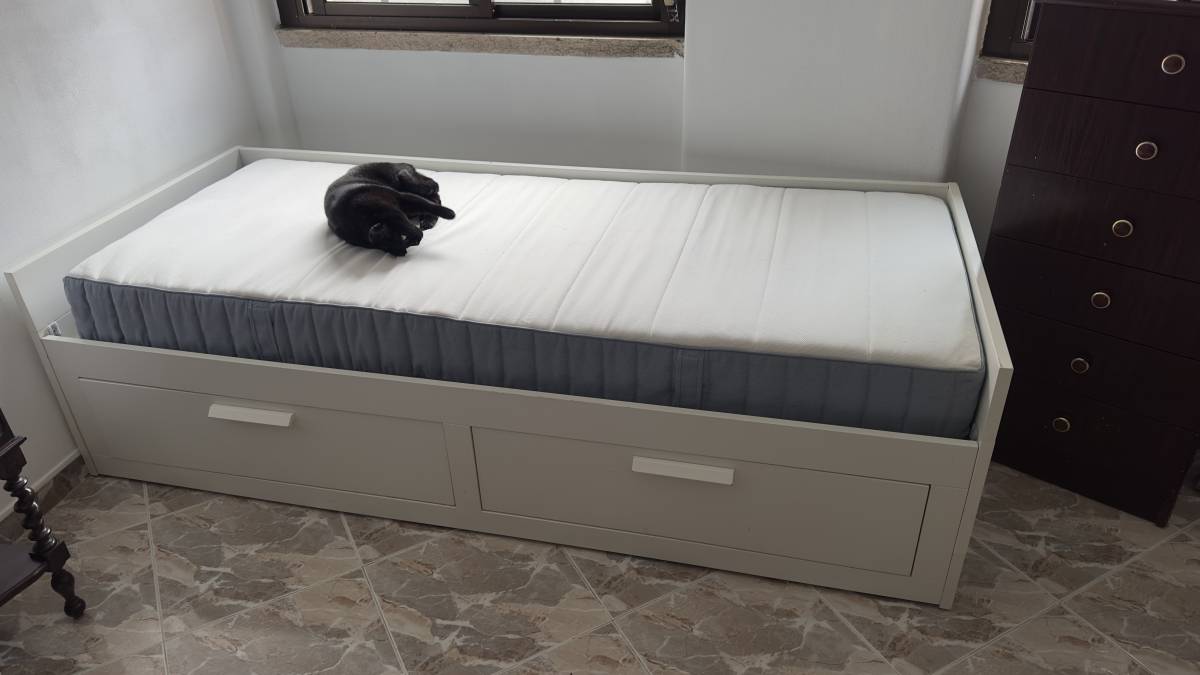 Wesley Finizola - Lisboa - Dishwasher Repair or Maintenance