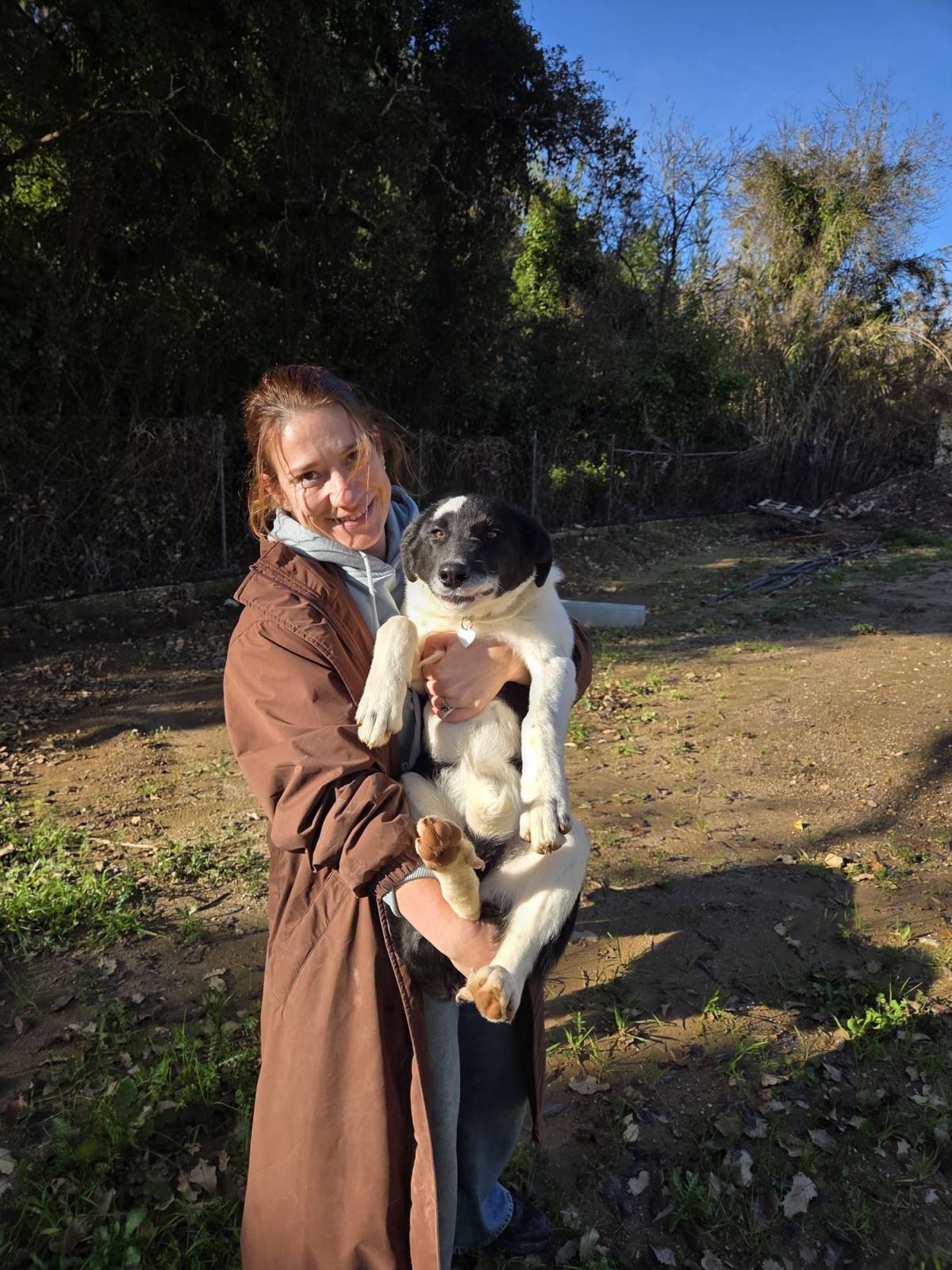 Inês - Sintra - Éducation canine - cours
