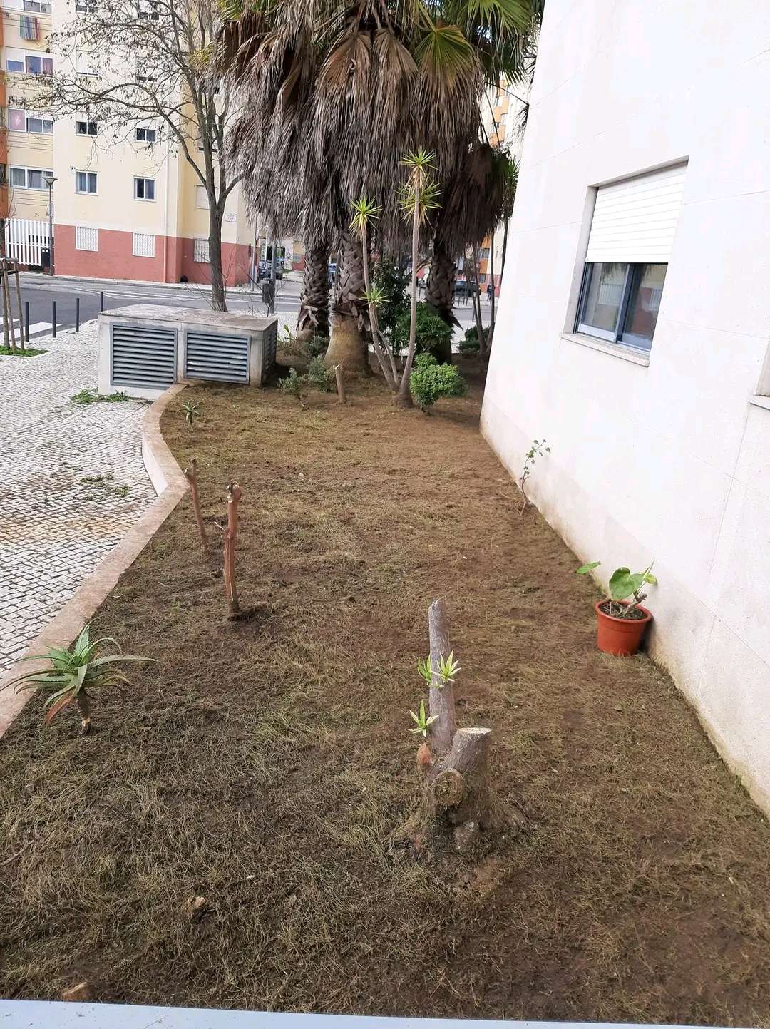 J.CarminhoJardins - Lisboa - Irrigação e Cuidados com Plantas
