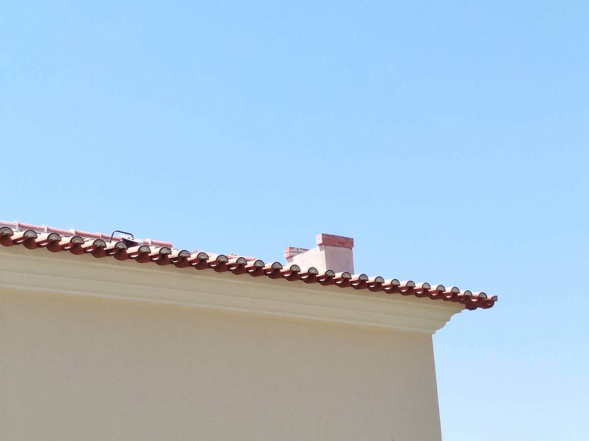 JB construções & remodelações - Amadora - Poda e Manutenção de Árvores