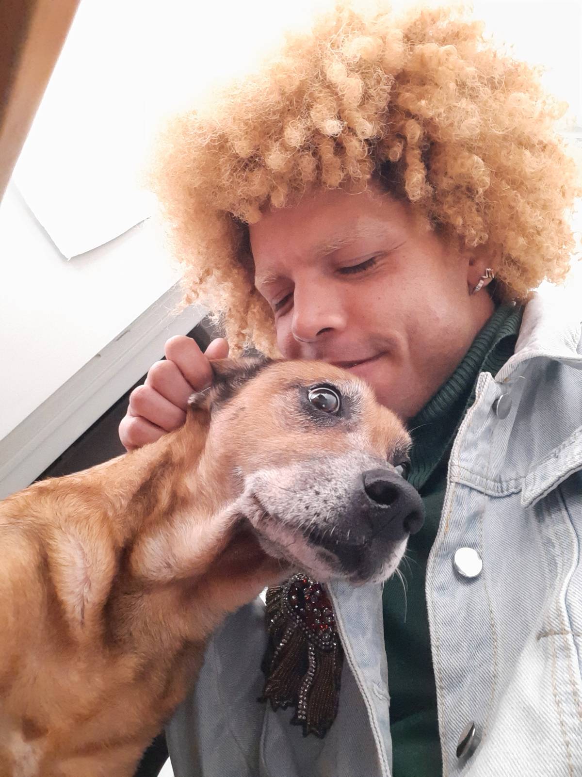 Sky Serviços - Lisboa - Pet Sitting