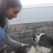 Anabela Oliveira - Vila Franca de Xira - Hospedaje de perros