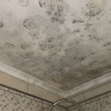 S.T. CLEANING - Portimão - Installation ou remplacement de toiture