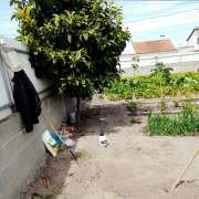Moacir - Marinha Grande - Gardening