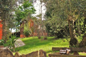 Jardinagem e Relvados