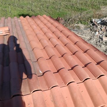 Volutas e arestas unipessoal lda - Rio Maior - Inspección y eliminación de moho