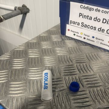 House Cleaning / Limpeza profissional - Sintra - Plant Sitting