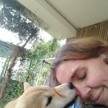 Pawlapetcare - Vila Nova de Famalicão - Hotel de Animais de Estimação