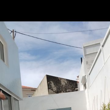 J.CarminhoJardins - Lisboa - Baumstumpf oder -wurzel wegfräsen und entfernen