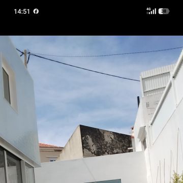 J.CarminhoJardins - Lisboa - Rasenkanten verlegen