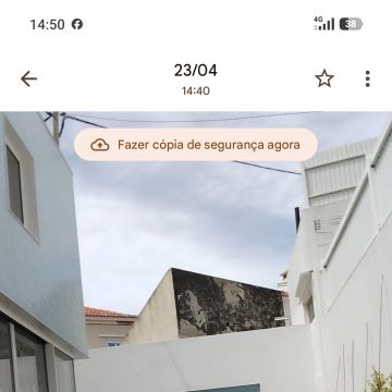 J.CarminhoJardins - Lisboa - Rasenpflege - Kompletter Rundum-Service