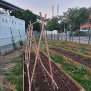 EcoCenter - Lisboa - Instalação de Sistema de Rega Gota a Gota