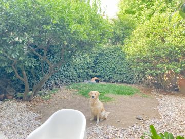 Lawncare