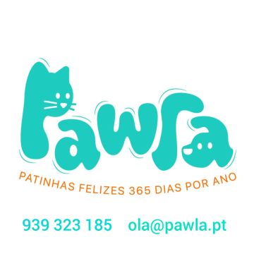 Pawlapetcare - Vila Nova de Famalicão - Creche para Cães