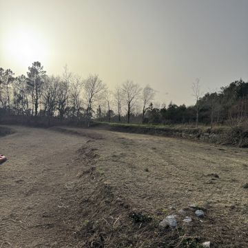 Ruralidades - Fafe - Poda y mantenimiento de árboles