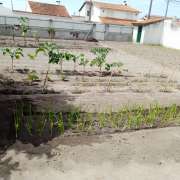 Moacir - Marinha Grande - Electrical