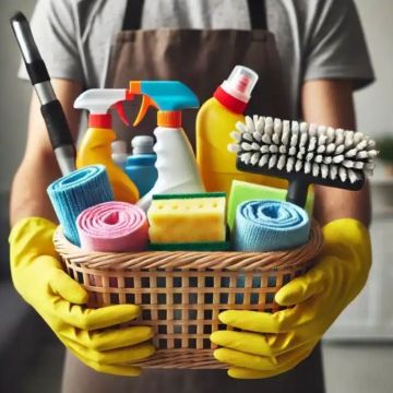 House Cleaning / Limpeza profissional - Sintra - House Sitting