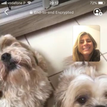 Duda´s PetSitter & PetWalking - Oeiras - Dog Walking