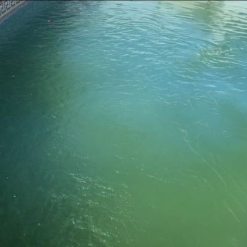 S.T. CLEANING - Portimão - Entretien de pelouse