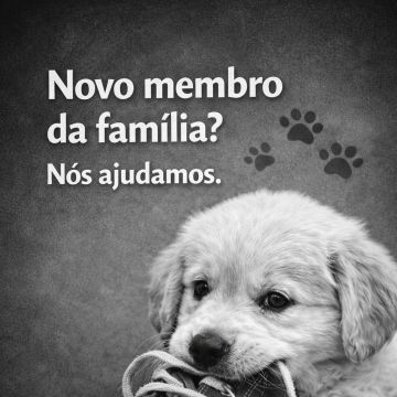 Inês - Sintra - Garde de chiens