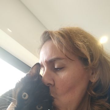 Pawlapetcare - Vila Nova de Famalicão - Hotel para Gatos