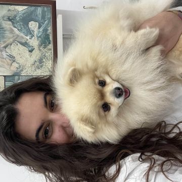 Carolina Santos - Sintra - Dog Walking