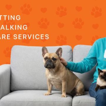 Pawlapetcare - Vila Nova de Famalicão - Dog Walking