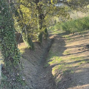 Ruralidades - Fafe - Trituración y eliminación de tocones