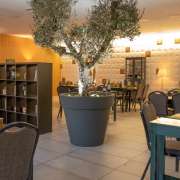 D'Olive - Mesa mediterrânea - Santa Maria da Feira - Catering for Events (Full Service)