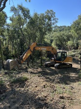 Bernardo Cartaxo - Cadaval - Poda e Manutenção de Árvores