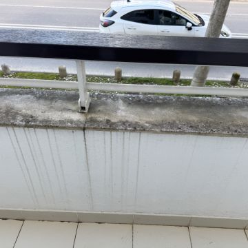 S.T. CLEANING - Portimão - Enlèvement de souches d’arbres