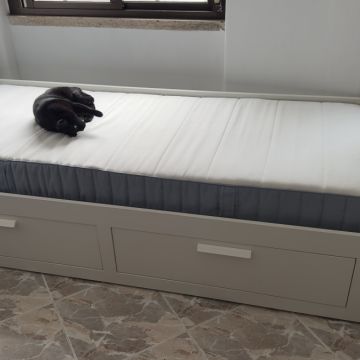Wesley Finizola - Lisboa - Dishwasher Repair or Maintenance