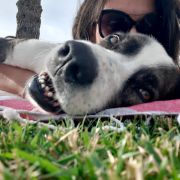 Anabela Oliveira - Vila Franca de Xira - Cuidado de mascotas