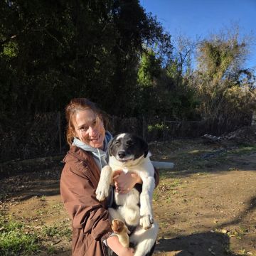 Inês - Sintra - Éducation canine - cours