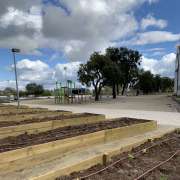 EcoCenter - Lisboa - Remoção de Arbustos