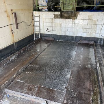 House Cleaning / Limpeza profissional - Sintra - House Sitting e Gestão de Propriedades