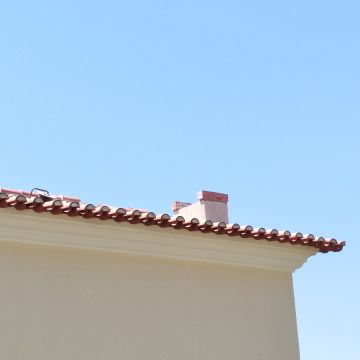 JB construções & remodelações - Amadora - Poda e Manutenção de Árvores