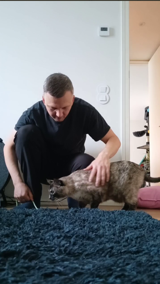 Aleksandr - Matosinhos - Hundeausführung