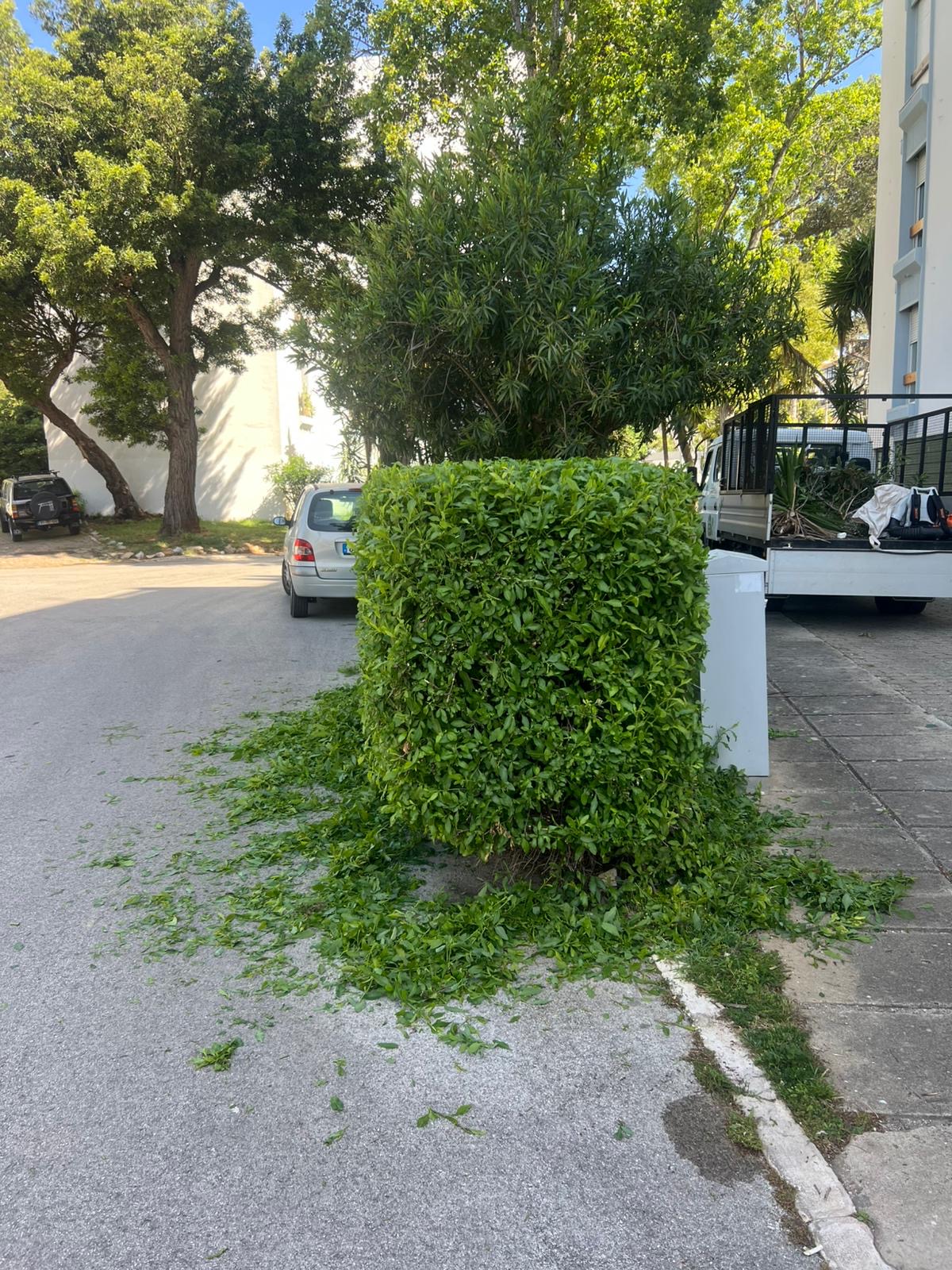 Cleangreen - Cascais - Felsen- und Steingarten anlegen