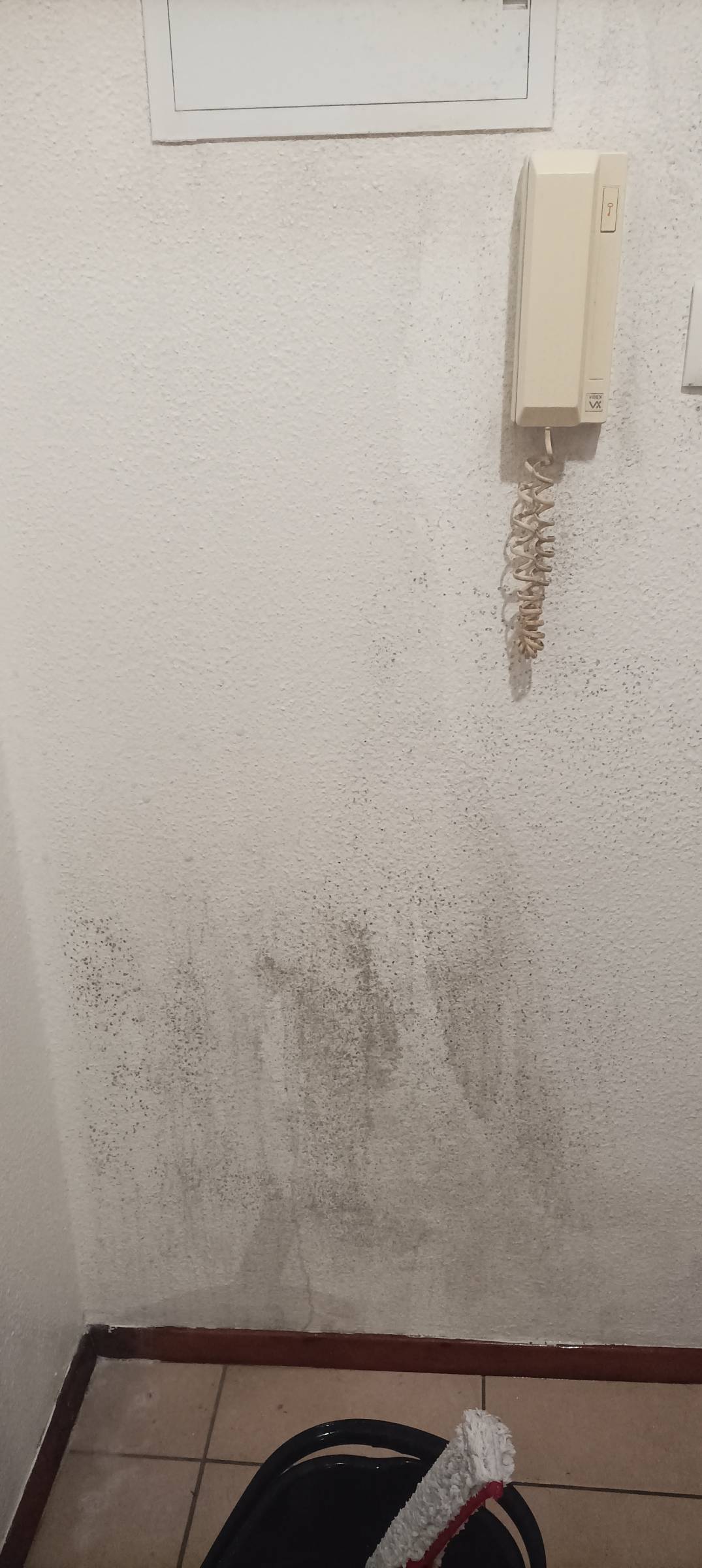 Glauciele - Marinha Grande - Office Cleaning (Recurring)