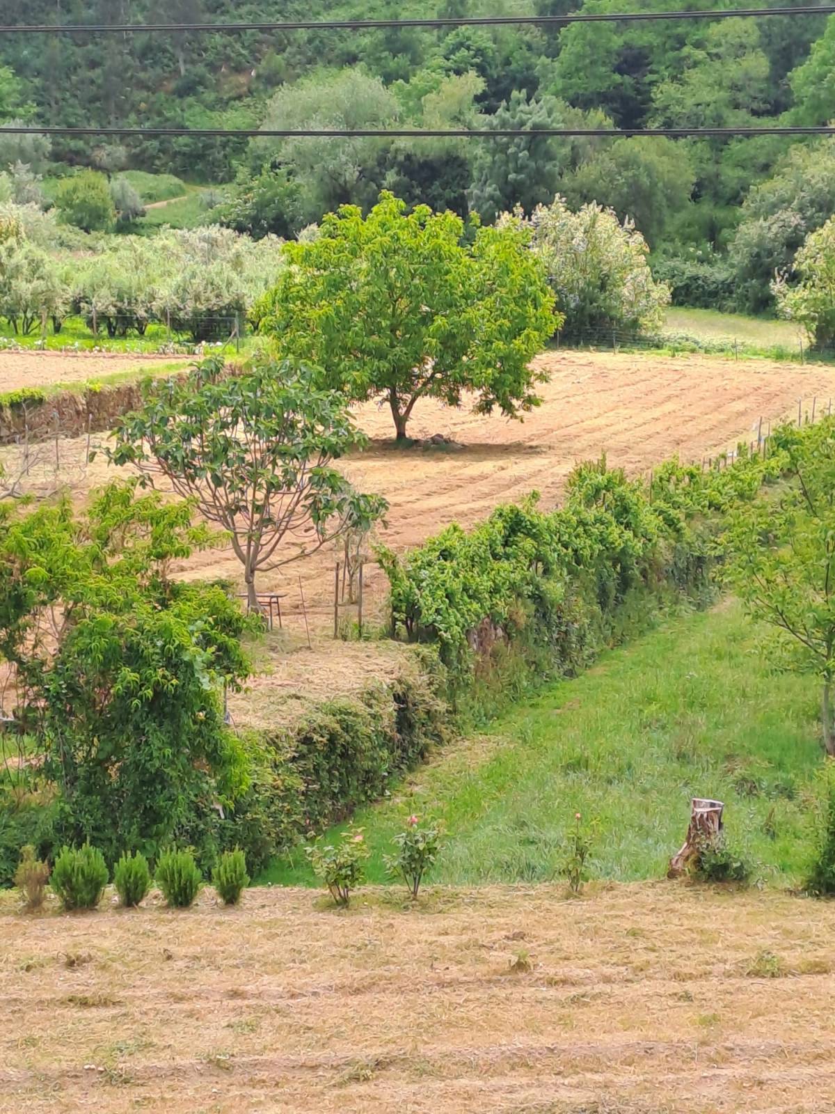 Jardinería